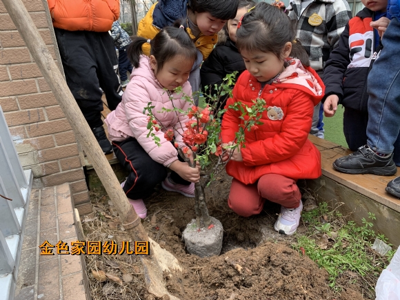附件：11.2.jpg
