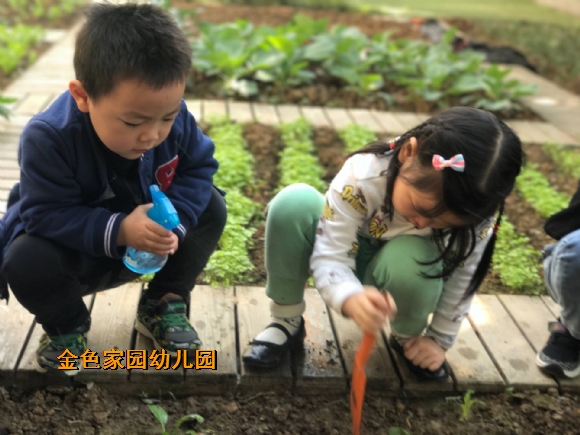附件：E4170C05843073DF541057F918D4A4D5.png