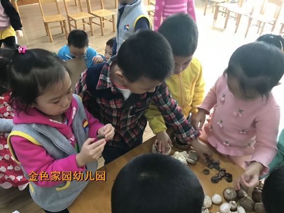 附件：IMG_7386.JPG