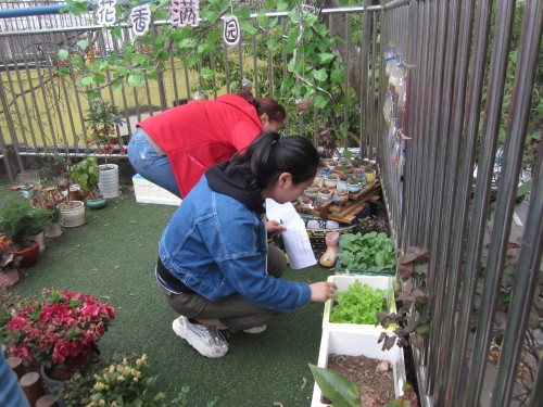 1555403625946045457.jpg IMG_9076_副本.jpg