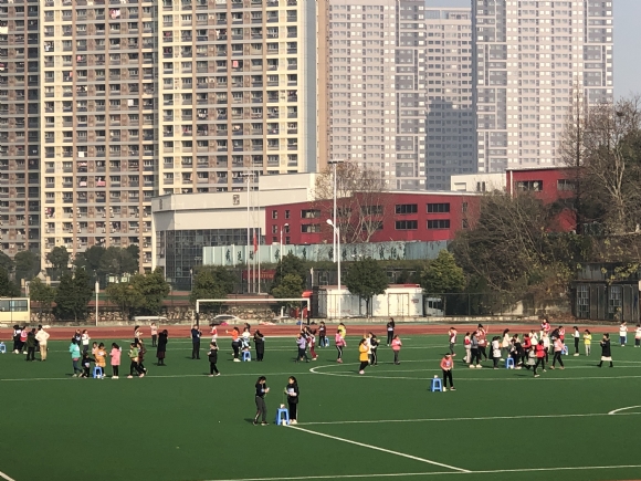 附件：IMG_3187.JPG