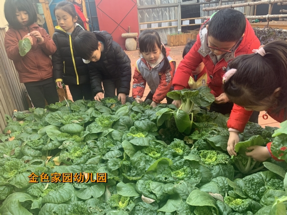 附件：IMG_0155.JPG