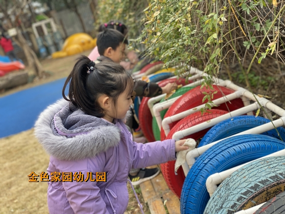 附件：IMG_5533.JPG