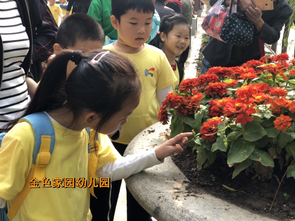 附件：IMG_2694.JPG