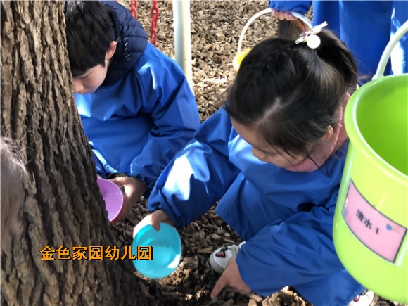 附件：IMG_0894.jpg