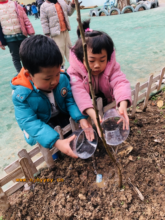 附件：IMG_1666.JPG