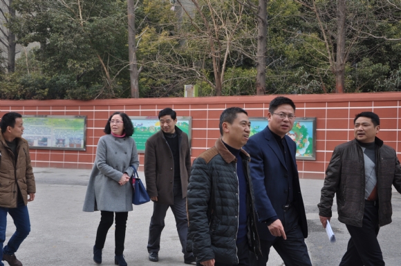 附件：DSC_0715.JPG