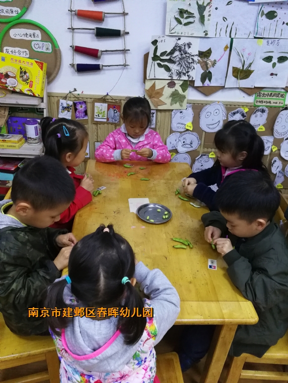 附件：IMG_20181106_154537.jpg