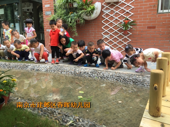 附件：IMG_0804.JPG