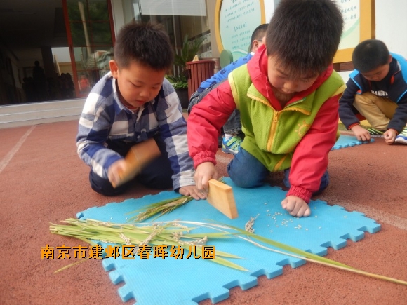 附件：conew_dscn4629.jpg
