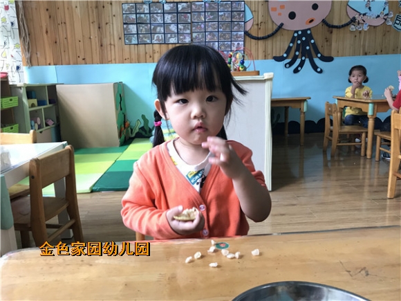 附件：IMG_1755.JPG