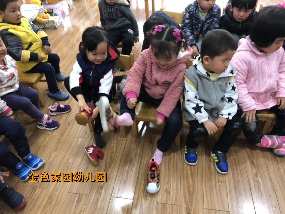 附件：IMG_0509.JPG