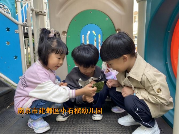 附件：1.png