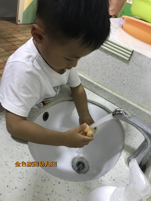附件：IMG_8019.JPG