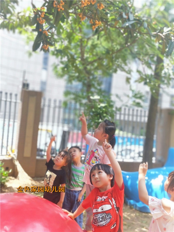 附件：5D3EEFF1A4552BD7AE498FCF9297B00B.jpg