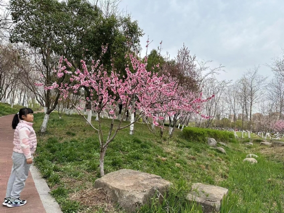 附件：IMG_7777(20230617-161548).JPG