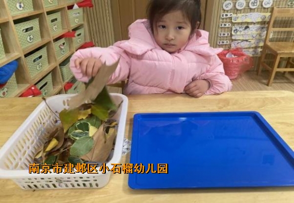 附件：1.png
