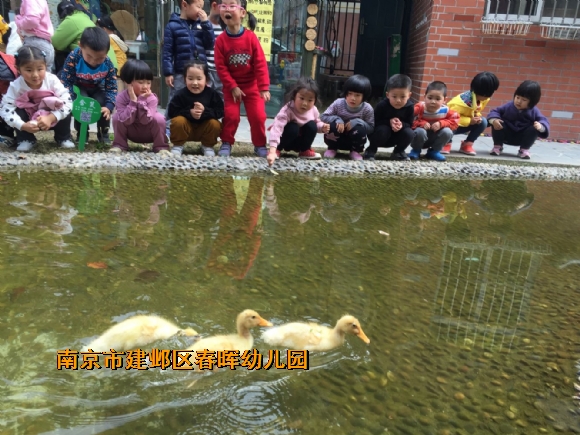 附件：IMG_6119.JPG