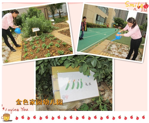 附件：11.jpg