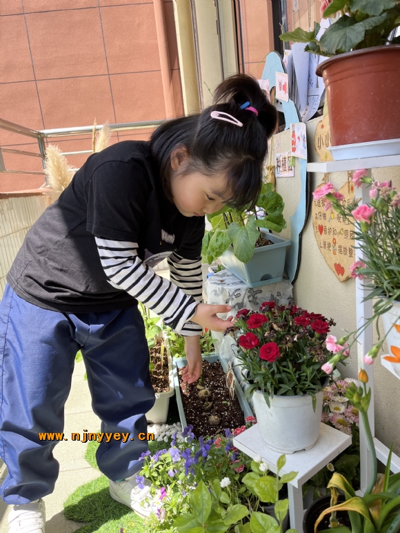 附件：4f42245a3147126350337c1aa7a3cf39.jpg