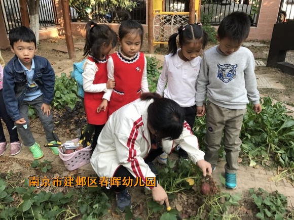 附件：conew_img_3608.jpg