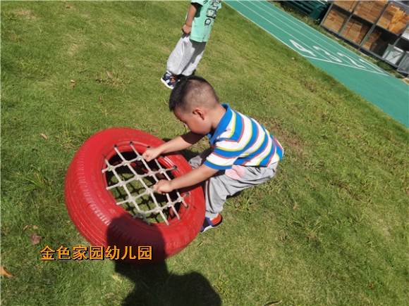 附件：1632705268400.jpg