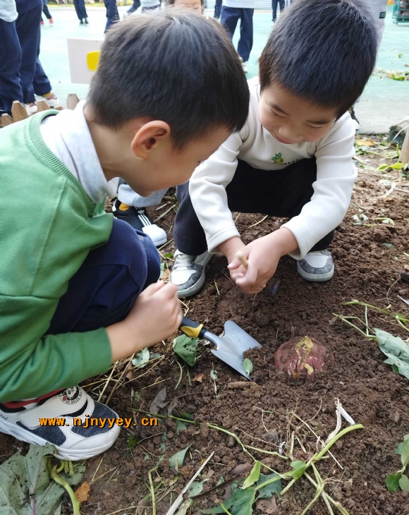 附件：14.jpg