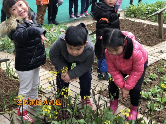 附件：IMG_1296.JPG