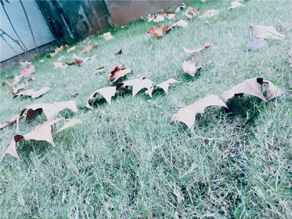 附件：qy (4).jpg