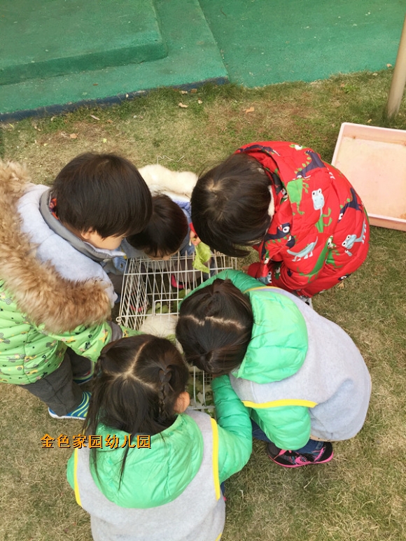 附件：1.jpg