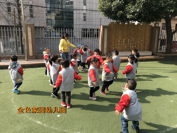 附件：IMG_6600.JPG