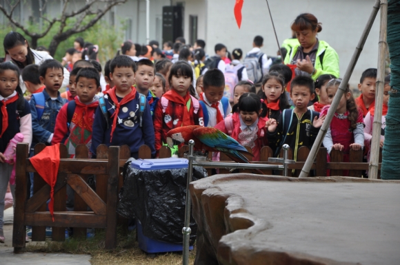附件：DSC_0052.JPG