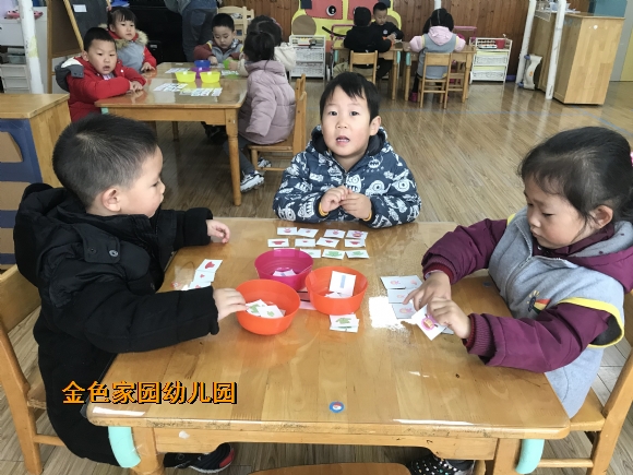附件：IMG_4519.JPG
