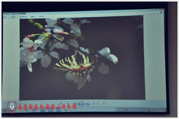 建邺教育信息网