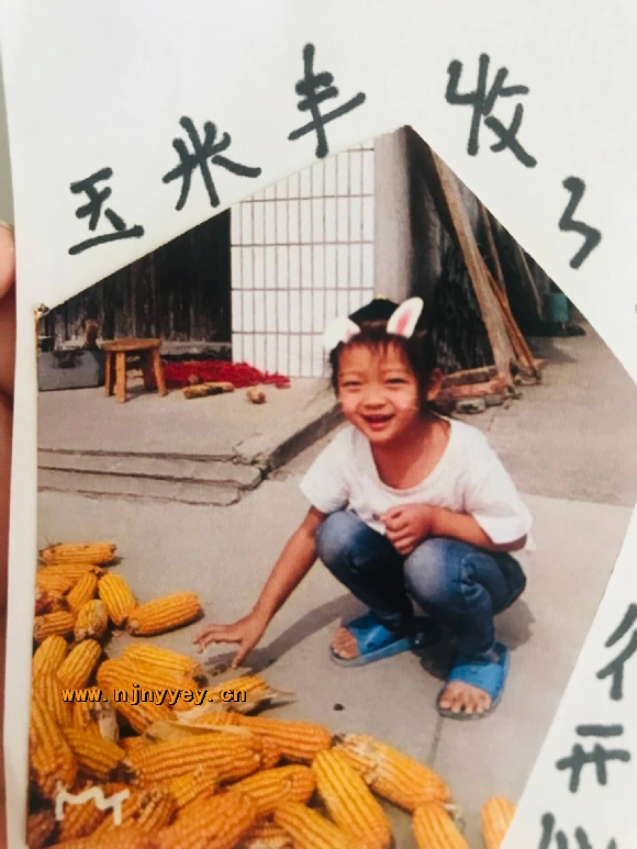 附件：玉米.jpg