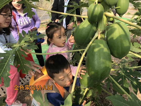 附件：IMG_3173.JPG