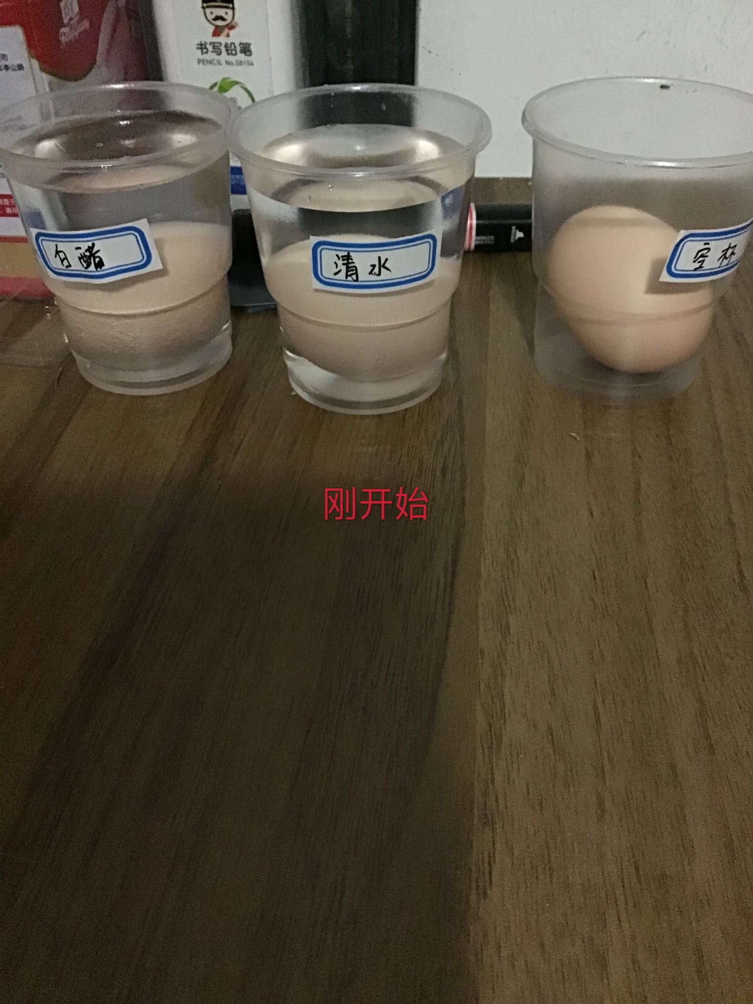 25f7531c2d49edd7.jpg