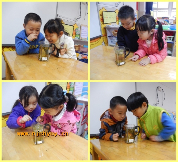 附件:4.jpg 附件:4.jpg