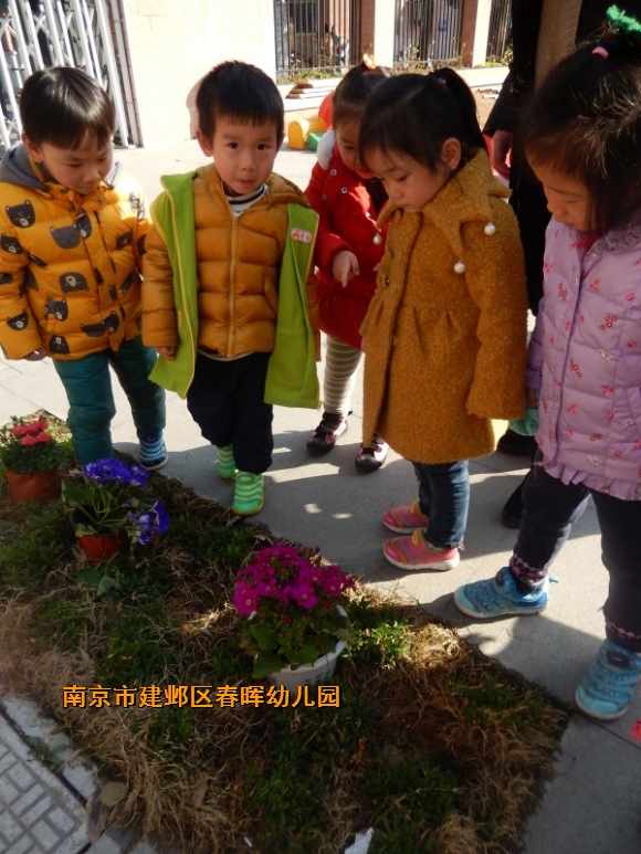 附件：conew_dscn6690.jpg