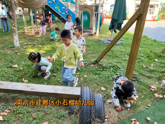 附件：QQ图片20231106152910.jpg