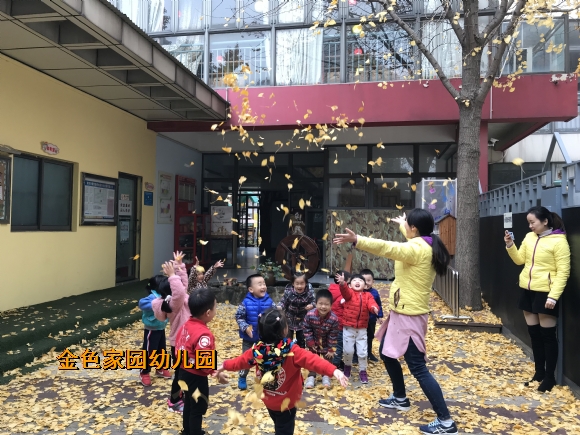 附件：IMG_3860.JPG