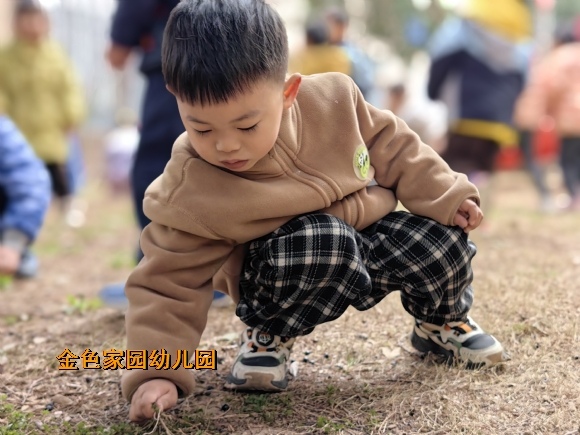 附件：371e8180caaaa9de95ec187c25232b4.jpg