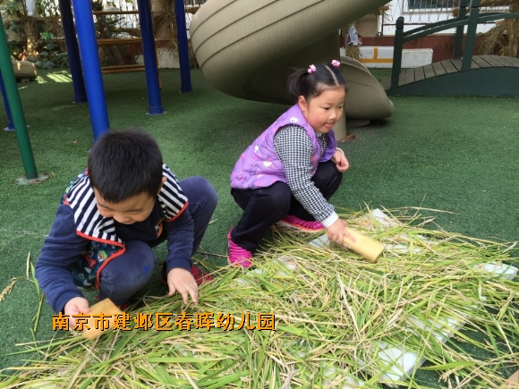 附件：conew_img_6168.jpg