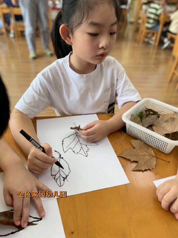 附件：微信图片_20211014155633.jpg