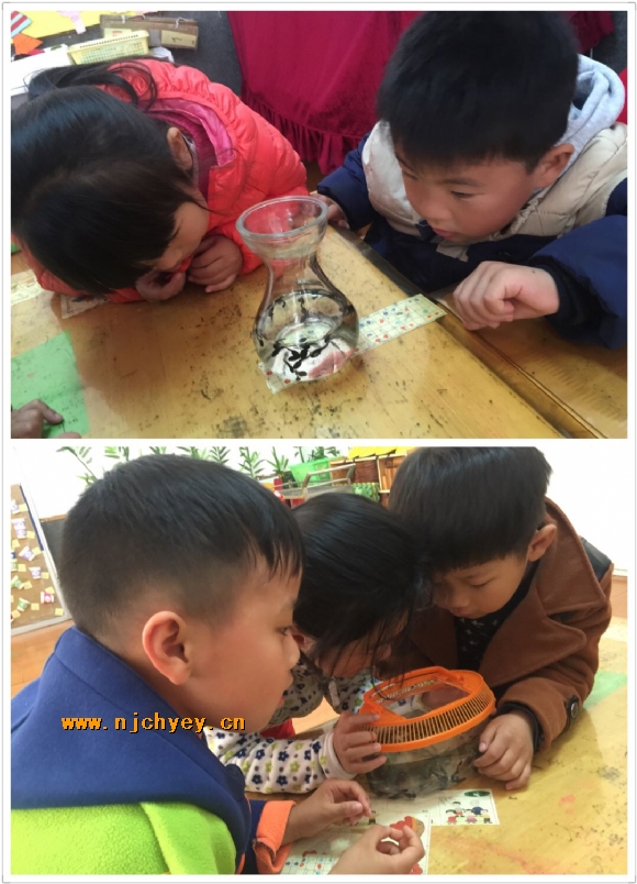 附件：D08CD266390B250E799032E10B97313E.png