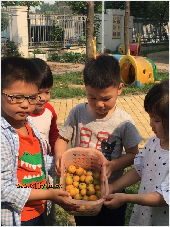 建邺教育信息网