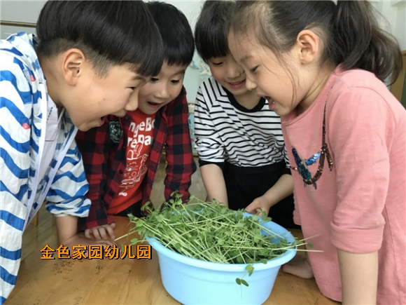 附件：IMG_1737.JPG