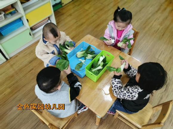 附件：IMG_20191118_093249.jpg