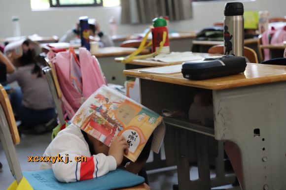 附件：IMG_6882.jpg