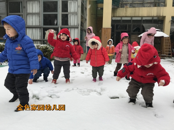 附件：IMG_4633.JPG